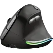 Trust Bayo, rechts, Optisch, RF Wireless, 2400 DPI, Schwarz