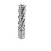 EUROBOOR 21003001901004 HCS.190 Kernbohrer, HSS, D 19 mm, DoC 30 mm, Weldon