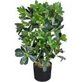 Decovego Kunstpflanze Schefflera Arboricola, im Topf, Höhe 60 cm