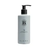 Björk Ag Silver Conditioner, Frauen, Blond, Blond, Grau, Schutz vor Vergilbung, Glanz, 750 ml, Pumpenflasche