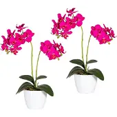 Creativ Green Kunstpflanze "Phalaenopsis"