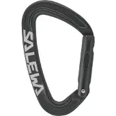 Salewa - Ortles Straight Carabiner - Schnappkarabiner grau