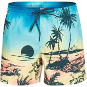 Quiksilver Everyday Paradise Volley 15