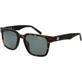 FILA SFI209 Shiny dark havana 53/20/145 Herren Sonnenbrillen