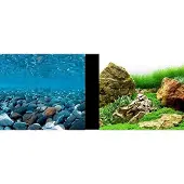 Marina 3d-fluss Und Japanischer Garten Aquarium Hintergrund