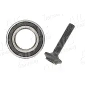 AIC Radlagersatz Original Quality 73318