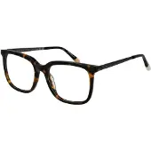 O'Neill Brillenfassung ONB-4017 102 52