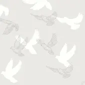 Duni GmbH Bio-Dunisoft Servietten 40x40 cm Soft Wings - Weiche Papierservietten | Packung (60 Servietten)