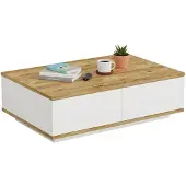 Dmora Couchtisch Marfik 90x60x28,6 cm Braun, 2 Fächer