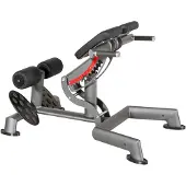 Sport-Thieme Rückenstrecker "OV"