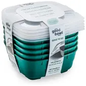 Thermohauser Mehrwegschale GoodBowl Big, Grün, 5er Set