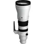 Sigma 300-600mm F4 DG OS (S) L-Mount