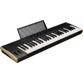 Korg Keystage 49 Polytouch-MIDI-Keyboard