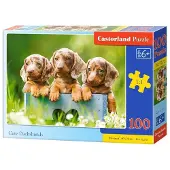 Castorland B-111213, 100 Stück(e), Tiere, 6 Jahr(e)