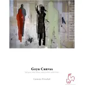 Hahnemuhle Goya Canvas satin 44" x 1 m Rolle 340g/m² 10626369
