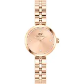 Daniel Wellington Elan Lumine Unitone Rose Gold 22 Damenuhr