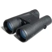Noblex NF 8x56 inception