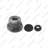 GSP Radlagersatz Hinten Links Hinten Rechts für RENAULT MASTER III Kasten (FV) 159,7mm 9245034K