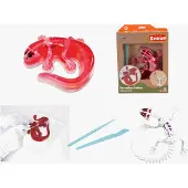 Scout Sezier-Set Salamander