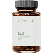 CBD-Vital Hyaluronsäure plus | 90 mg | Mit Vitamin C, Zink & Granatapfelkernmehl | 60 Kapseln