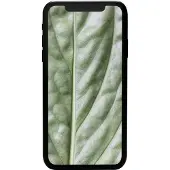 Apple #GOECO iPhone 11, 15,5 cm (6.1"), 1792 x 828 Pixel, 4 GB, 64 GB, 12 MP, Schwarz