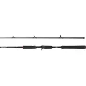 Abu Garcia BEAST Pike 802HP, 2,44m, 8ft, 30-100g, 2 Teile, Casting Angelrute, 1561311
