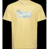 Levi's Levis Kids T-Shirt "LVB HIGH TIDE BATWING TEE" for Boys, mit Front-Print