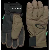Oakley Apparel Powder Ridge Handschuhe