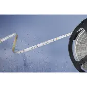 Barthelme 51540428 51540428 LED-Streifen mit offenem Kabelende 12 V/DC 5