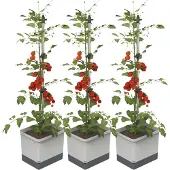 Gusta Garden TOM TOMATO 3er-Set, hellgrau / W07073 Pflanzgefäss