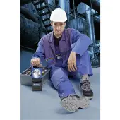Acculux Arbeits- und Notstrom-Scheinwerfer SL5 Set Schwarz, Blau 456481 4 V Halogenlampe, Pilotlam