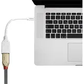Lindy 41021 Displayport Auf Mini Displayport 1.4 Kabel