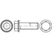 Toolcraft Toolcraft, Schrauben, TO (200 Schrauben pro Stück)