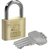 Basi V5091-0050-0010 Vorhängeschloss gleichschliessend