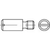 Toolcraft 119071 Zapfenschrauben M4 6 mm Schlitz DIN 927 Stahl 100 St.