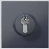 Siedle 210004992-00 Türsprechanlagen-Zubehör Funktionsmodul Anthrazit