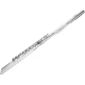 Roland Aerophone Brisa Digitales Blasinstrument