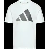 Adidas Essentials Graphic Kurzarm-t-shirt