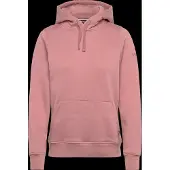 Helly Hansen Hoodie Elevate Damen Ash Rose-XL