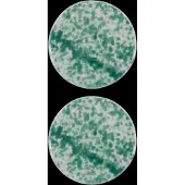 House Doctor - Serving Board - HDDiva - Green