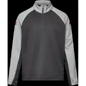 Puma Kinder Shirt IndividualLIGA 1/4 Zip Top Jr