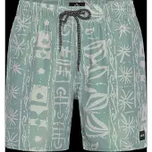 Rip Curl Sessions Volley Badeshorts