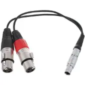 Atomos ATOMCAB017 Balanced XLR Breakout Cable