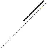 Shimano Fishing Beastmaster Cx Slim Bootsrute Silber 2.29 m / 12-20 Lbs Silber 2.29 m