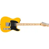 Fender Standard Telecaster Butterscotch Blonde Set