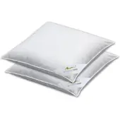 BETTWARENSHOP Doppelpack 3-Kammerkissen Exclusiv Füllung Aussen 100% Daunen 2x 65x100 cm