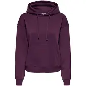 ONLY ONLBEST Sweatshirt Kapuzenpullover