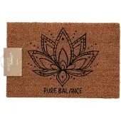 Boltze Bali