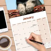 Avonside Publishing Ltd. Schnauzer Kalender 2027