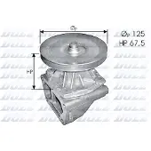 DOLZ Wasserpumpe S124